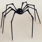 sPOiDar
