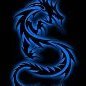 BlackFireDragon